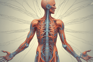 Somatosensation in the Peripheral Nervous System