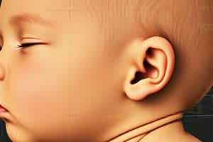 Skin Conditions in Newborns