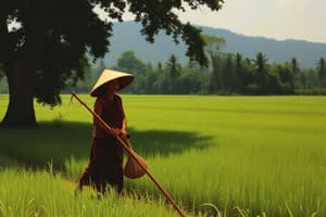 Bamar People and Agriculture in Myanmar