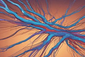 Nerve Fibers and Pain Sensation