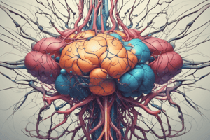 Muscarinic Receptors Overview