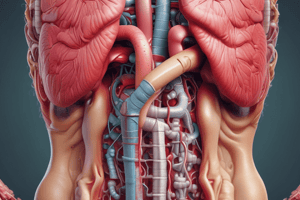 Digestive System: Overview and GI Tract Layers Quiz