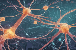 Nerve Impulse and Action Potential