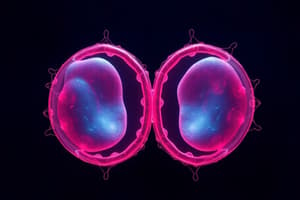 Cell Division: Meiosis