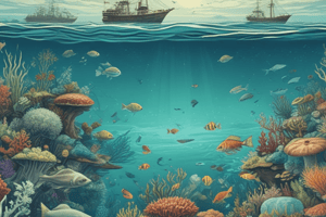 Marine Ecosystems Quiz