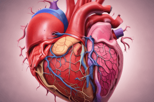 Cardiovascular Disease and Hypertension Overview