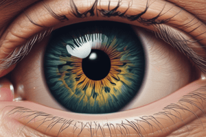 Retinoschisis and Retinal Detachment