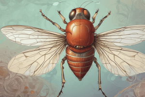 Drosophila Genetics and Biotech: Gene Notation