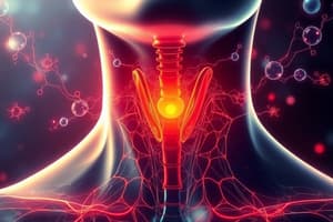 Endocrine System: Thyroid and Pancreas