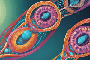 Cell Division and Gamete Formation