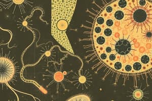 Prokaryotic vs. Eukaryotic Cells