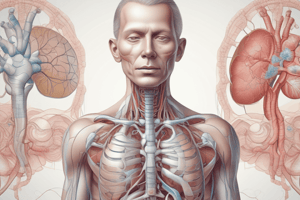 The Respiratory System Quiz