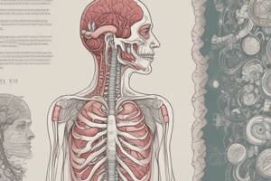 Digestive Tract: Introduction