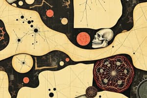 Extracellular Matrix and Bone Classification