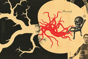 Development of the Nervous System