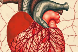 Cardiac Muscle Histology