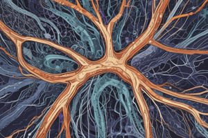 Nervous System Functions and Properties