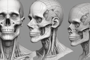 Anatomy Study Techniques and Methods