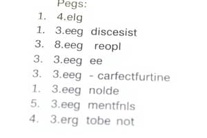 Peg List Quiz