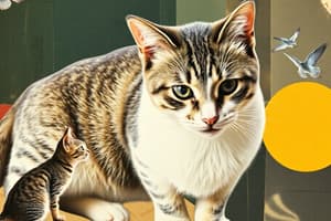 Cat Training: Modifying Behavior