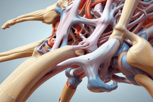 Joint Structure and Function Basics