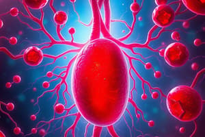 Blood Components and Functions