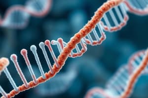 Biology: mRNA Translation Process