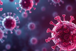 Immune Response Mechanism and Lymphocyte Types