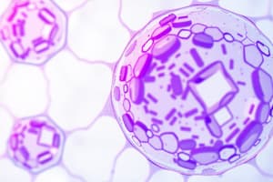 Epithelial Cell Polarity and Specializations