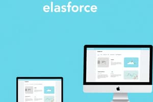 Salesforce UX Design Best Practices