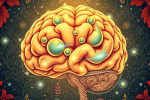 Comprendre le Fonctionnement du Cerveau