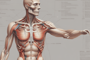 N2030 Exam 3 Study Guide: Anatomy and Health Assessment