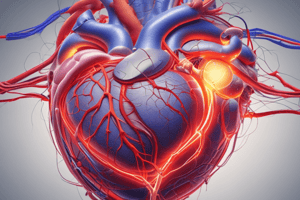 Ch 13 Part 1 - Cardiac Conduction System Pathway Quiz