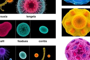 History and Definition of Cells