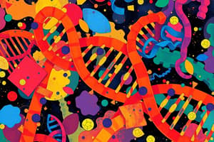 Molecular Biology Quiz: DNA and RNA Processes