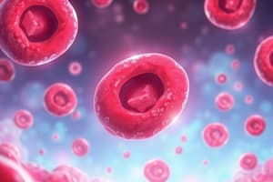 Cours d'Hématopoïèse: Formation des Cellules Sanguines