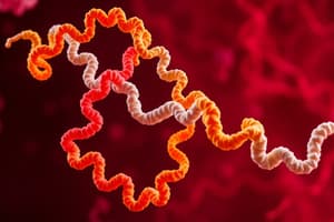 Cellular & Molecular Biology - Protein Structure