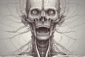 Cerebral Blood Vessels and Venous Drainage