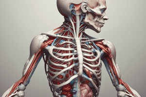 Anatomy Glossary Quiz