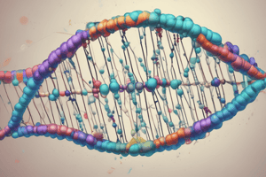 DNA Repair Mechanisms Quiz