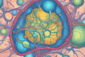 Stem Cell Biology: Induced Pluripotent Stem Cells