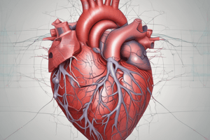 Cardiovascular System