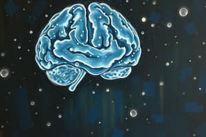 Neuroscience and Cognition Overview