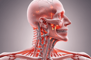 Musculoskeletal Ultrasound Examination Quiz