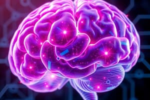 Fundamentos de Procesos Cognitivos