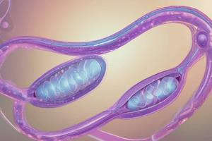 Human Reproduction and Gametes