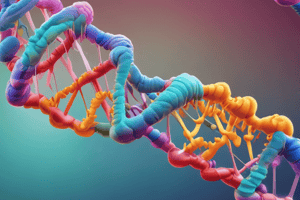 Nucleic Acids Summary