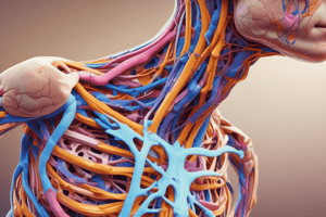 Brachial Plexus Anatomy and Erb's Palsy Quiz