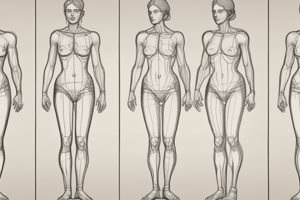 Tipi di corpo: Mesomorfo e Endomorfo