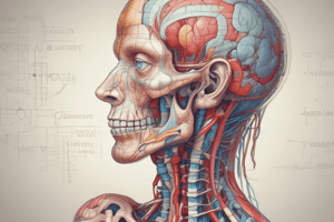 WK 1: Basic Medical Terminology